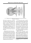 Научная статья на тему 'Гармонизация квалификаций в системе высшего образования и в сфере труда'