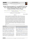 Научная статья на тему 'Genetic Characterization of Co-circulated Classic and Very Virulent Infectious Bursal Disease Viruses in Commercial Broiler Flocks of Egypt'