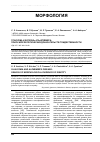 Научная статья на тему 'Глаукома и болезнь Альцгеймера: поиск морфологических доказательств тождественности'