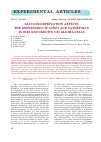 Научная статья на тему 'Glucose deprivation affects the expression of LONP1 and cathepsins in IRE1 knockdown U87 glioma cells'