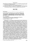 Научная статья на тему 'Гнездование маскированной трясогузки Motacilla personata в субвысокогорье юго-восточного Алтая'