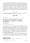 Научная статья на тему 'Гнездование рябчиков Bonasa umbellus и B. bonasia и глухарей Tetrao urogallus на деревьях'