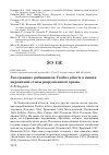 Научная статья на тему 'Гнездование рябинников Turdus pilaris в нишах кирпичной стены разрушенного храма'