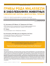 Научная статья на тему 'Грибы рода Malassezia в заболеваниях животных клинические формы, диагностика, терапия'