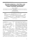 Научная статья на тему 'Heterodera sturhani sp. n. from China, a new species of the Heterodera avenae species complex (Tylenchida: Heteroderidae)'