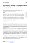 Научная статья на тему 'Histopathological Alterations of Ceca in Broiler Chickens (Gallus gallus) Exposed to Chronic Heat Stress'