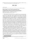 Научная статья на тему 'Хохлатый осоед Pernis ptilorhyncus на Ханкайско-Раздольненской равнине'