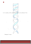 Научная статья на тему 'Human evolution based upon Old Chinese patterns? Rationally realizing psychosocial evolution through a well-balanced polarity in thinking, behavior and feeling'