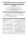 Научная статья на тему 'Identification of a novel source of resistance to the root-knot nematode Meloidogyne incognita in Cucumis'