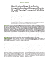 Научная статья на тему 'Identification of novel RNA-protein contact in complex of ribosomal protein S7 and 3’-terminal fragment of 16S rRNA in E. coli'