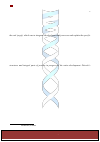 Научная статья на тему 'In search of the specific parameter of life – general methodological comments'