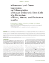 Научная статья на тему 'Influence of pub gene expression on differentiation of mouse embryonic stem cells into derivatives of ecto-, meso-, and endoderm in vitro'