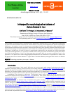 Научная статья на тему 'Infraspecific morphological variations of Salvia limbata in Iran'