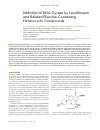 Научная статья на тему 'Inhibition of DNA gyrase by levofloxacin and Related fluorine-containing heterocyclic compounds'