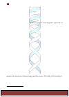 Научная статья на тему 'Integral approach of Pitirim Sorokin on social realities – applicability to biocosmological studies'