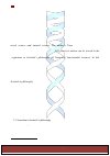 Научная статья на тему 'Integrating scientific domains: possibilities of the Nous-Self concept and functionalistic systematic physiology (part 1)'