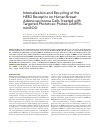 Научная статья на тему 'Internalization and recycling of the HER2 receptor on human breast adenocarcinoma cells treated with targeted phototoxic protein darpinminisog'