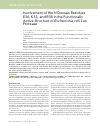 Научная статья на тему 'INVOLVEMENT OF THE N DOMAIN RESIDUES E34, K35, AND R38 IN THE FUNCTIONALLY ACTIVE STRUCTURE OF ESCHERICHIA COLI LON PROTEASE'