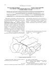 Научная статья на тему 'Ископаемые медведи (Carnivora, Ursidae) из местонахождения Красный Яр (Кривошеинский район, Томская область). 1. Краниальные остатки'