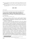 Научная статья на тему 'К экологии и распространению индийского украшенного чибиса Lobivanellus indicus и белохвостой пигалицы Vanellochettusia leucura'