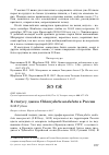 Научная статья на тему 'К статусу джека Chlamydotis undulata в России'