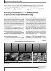 Научная статья на тему 'Клинкерная керамика: от лаборатории к промышленному производству'