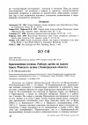 Научная статья на тему 'Красношейная поганка Podiceps auritus на южном берегу Финского залива (Ленинградская область)'