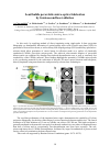 Научная статья на тему 'Lead halide perovskite micro-optics fabrication by femtosecond laser ablation'