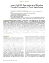 Научная статья на тему 'literammp9 mRNA Expression and Bridging Fibrosis Progression in Toxic Liver Injury'