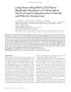 Научная статья на тему 'Long noncoding RNA LL35/Falcor regulates expression of transcription factor Foxa2 in hepatocytes in normal and fibrotic mouse liver'