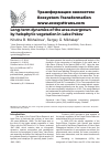 Научная статья на тему 'Long-term dynamics of the area overgrown by helophytic vegetation in Lake Pskov'