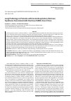 Научная статья на тему 'LUNG PATHOLOGY IN PATIENTS WITH ACUTE RESPIRATORY DISTRESS SYNDROME ASSOCIATED WITH THE NOVEL SARS-COV-2 VIRUS'