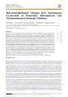 Научная статья на тему 'Macromorphological Changes after Spontaneous Co-invasion of Eimeriosis, Histomonosis, and Trichomoniasis in Domestic Chickens'