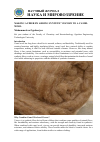 Научная статья на тему 'MAKING A FIBER BY ADDING SYNTETIC VISCOZE TO A CAMEL WOOL'