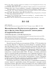 Научная статья на тему 'Малый баклан Phalacrocorax pygmaeus - новый вид в фауне птиц Наурзумского заповедника (Северный Казахстан)'