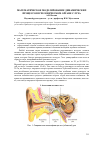 Научная статья на тему 'Математическое моделирование динамических процессов в человеческом органе слуха'