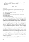 Научная статья на тему 'Майна Acridotheres tristis ловит и ест рыбу на городском пруду Алматы'