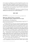 Научная статья на тему 'Майские наблюдения за птицами на северном берегу Адриатического моря'