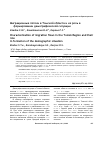 Научная статья на тему 'Миграционные потоки в Томской области и их роль в формировании демографической ситуации'