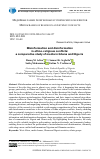 Научная статья на тему 'Misinformation and disinformation in ethno-religious conflicts: a comparative study of media in Ghana and Nigeria'