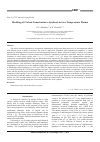 Научная статья на тему 'Modeling of carbon nanostructures synthesis in low-temperature plasma'