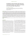 Научная статья на тему 'Modeling of the full-size 3D structure of human chaperone Hsp70 and study of its interdomain interactions'