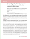 Научная статья на тему 'Modern aspects of the structural and functional organization of the dna mismatch repair system'