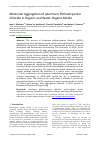 Научная статья на тему 'Molecular Aggregation of Aluminum Phthalocyanine Chloride in Organic and Water-Organic Media'