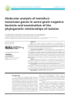 Научная статья на тему 'Molecular analysis of metallo-βlactamase genes in some gram-negative bacteria and examination of the phylogenetic relationships of isolates'