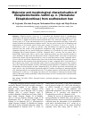 Научная статья на тему 'Molecular and morphological characterisation of Ektaphelenchoides ruehmi sp. n. (Nematoda: Ektaphelenchinae) from southwestern Iran'