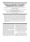 Научная статья на тему 'Molecular and morphological characterization of Ektaphelenchoides hunti sp. n. (Nematoda: Ektaphelenchinae) from northern Iran'