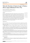 Научная статья на тему 'Molecular Detection of Entamoeba spp. in Monkeys (Macaca spp.) in Babylon Province, Iraq'