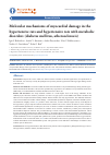 Научная статья на тему 'MOLECULAR MECHANISMS OF MYOCARDIAL DAMAGE IN THE HYPERTENSIVE RATS AND HYPERTENSIVE RATS WITH METABOLIC DISORDERS (DIABETES MELLITUS, ATHEROSCLEROSIS)'