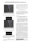 Научная статья на тему 'Морфологическая изменчивость нейроцитов старой и древней коры головного мозга крыс при действии ионизирующего излучения'